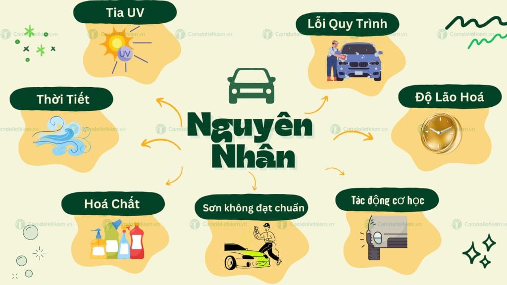 Cách Bảo Vệ Sơn Xe Ô Tô Luôn Mới Và Đẹp 5 bảo vệ sơn xe ô tô