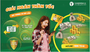 Cầm ô tô - xe máy