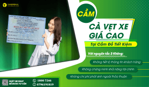 Cầm cà vẹt lãi suất thấp tại Cần Thơ