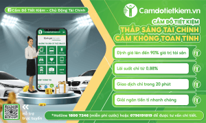 cầm xe bán tải