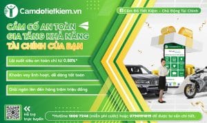 Cầm xe bán tải